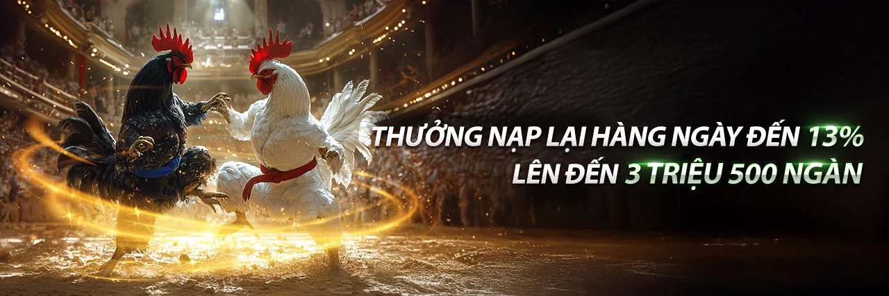 Chương trình VIP độc quyền của shbet50 nhà cái