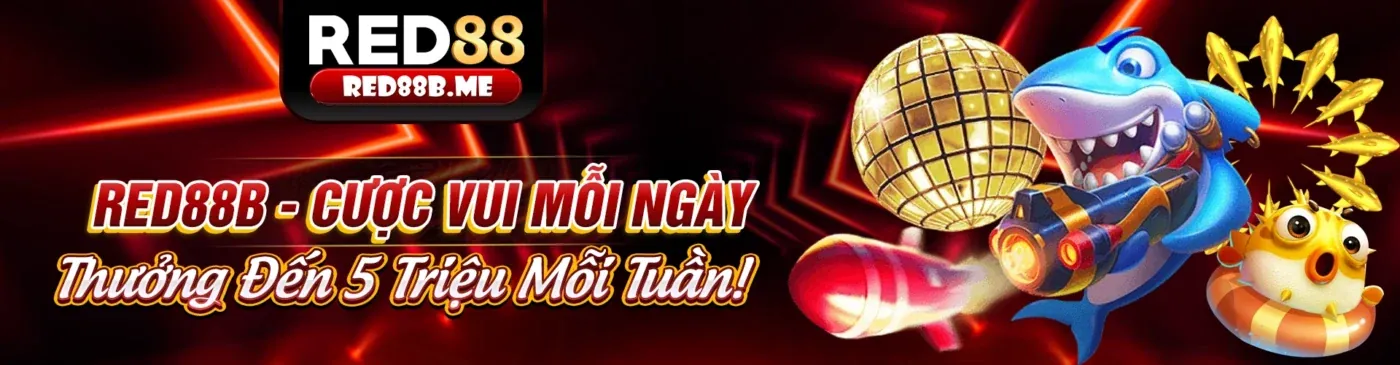Hình ảnh chính sách quyền riêng tư của shbet50 nhà cái