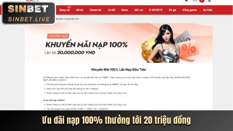Bảng cấp độ VIP và quyền lợi tại shbet50 nhà cái